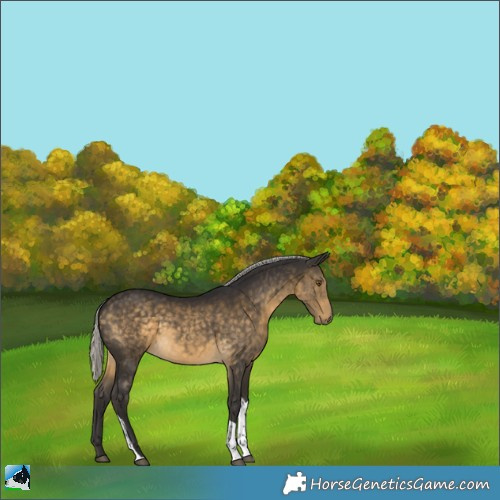 Horse Color:Silver Buckskin Tobiano 