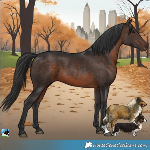 Horse Color:Brown 