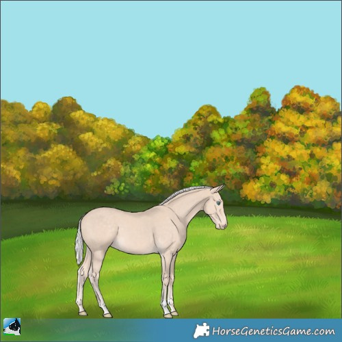 Horse Color:Silver Perlino 