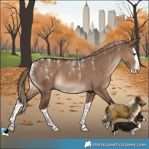 Horse Color:Powder White Liver Red Dun Splash 