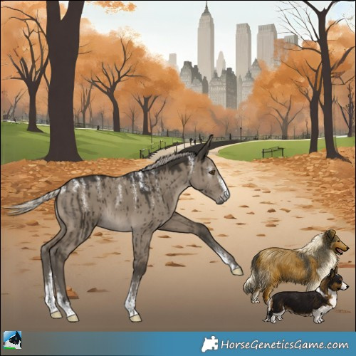 Horse Color:Powder White Gray Silver Smoky Grullo Brindle