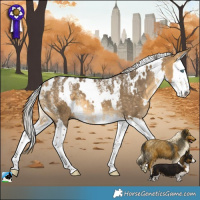 Horse Color:Powder White White Spotted Silver Buckskin Dun Splash 