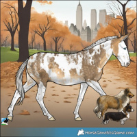 Horse Color:Powder White White Spotted Silver Buckskin Dun Splash