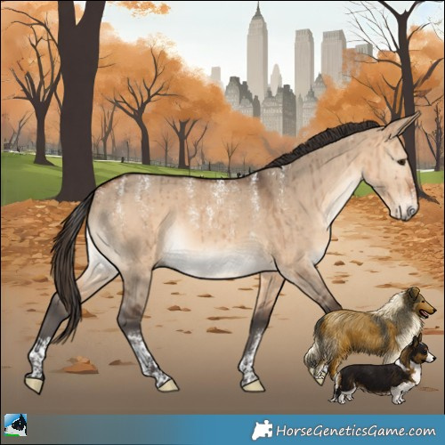 Horse Color:Powder White Bay Dun Brindle