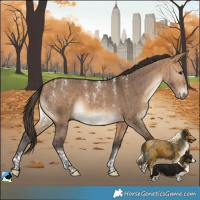 Horse Color:Powder White Bay Dun Brindle