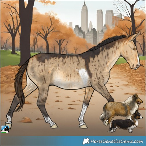 Horse Color:Buckskin Dun Splash Tobiano Rabicano Brindle 