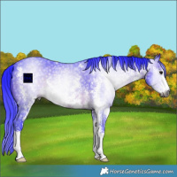 Horse Color:Gray Watercolor Brown Sabino Rabicano