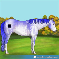 Horse Color:Gray Watercolor Brown Sabino Rabicano 
