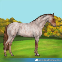 Horse Color:Red Roan 