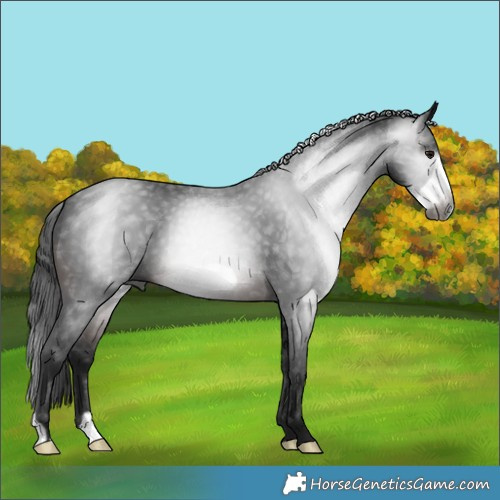 Horse Color:Gray Brown Frame 