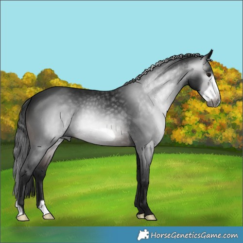 Horse Color:Gray Brown Frame 