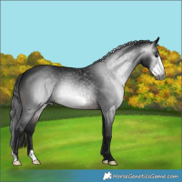 Horse Color:Gray Brown Frame 