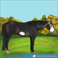 Horse Color:Gray Brown Frame 
