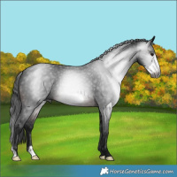Horse Color:Gray Brown Frame