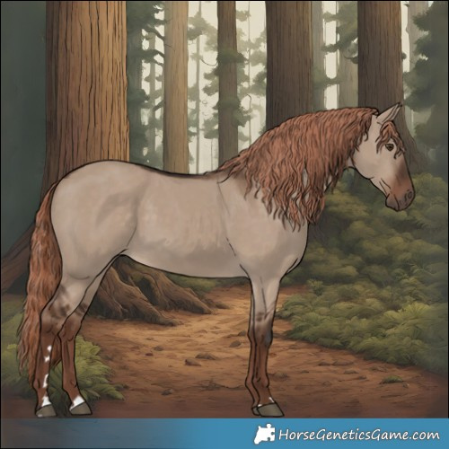 Horse Color:Liver Red Dun 