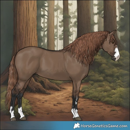 Horse Color:Liver Red Dun 