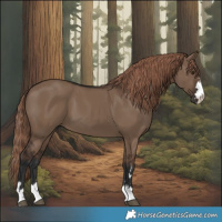 Horse Color:Liver Red Dun 