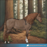 Horse Color:Liver Red Dun Tobiano Rabicano