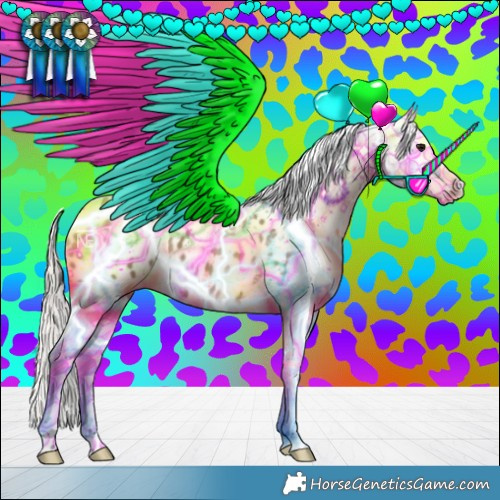 Horse Color:Silver Grullo Appaloosa 