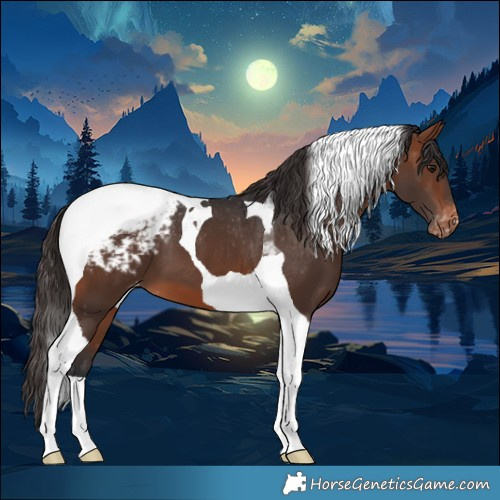 Horse Color:Brown Tobiano Snowcap 