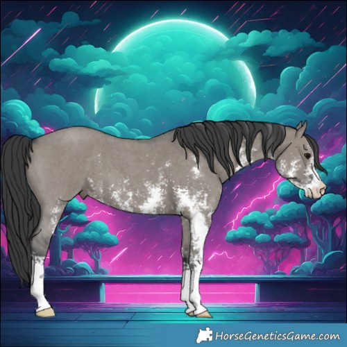 Horse Color:Grullo Sabino 