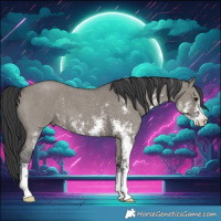 Horse Color:Grullo Sabino