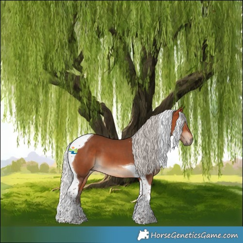 Horse Color:Silver Bay Tobiano 