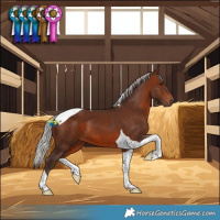Horse Color:Silver Brown Tobiano 