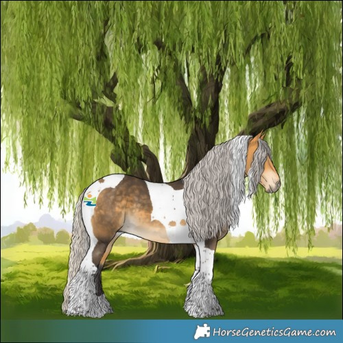 Horse Color:Silver Buckskin Tobiano 