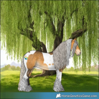 Horse Color:Silver Buckskin Tobiano