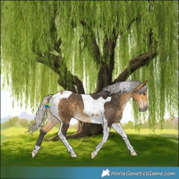 Horse Color:Silver Buckskin Tobiano