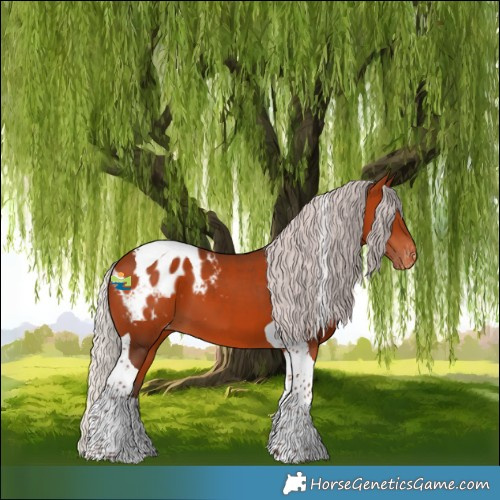 Horse Color:Silver Bay Tobiano Appaloosa