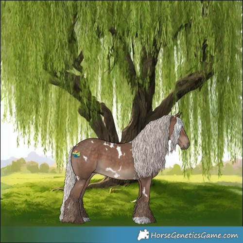 Horse Color:White Spotted Silver Black