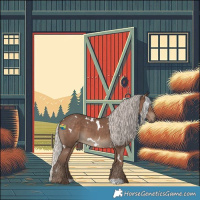 Horse Color:White Spotted Silver Black