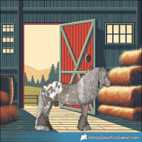 Horse Color:White Spotted Silver Black Blanket 