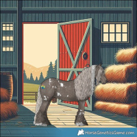 Horse Color:White Spotted Silver Black 