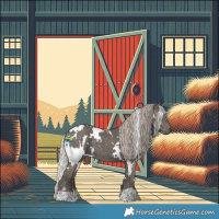 Horse Color:White Spotted Silver Black 