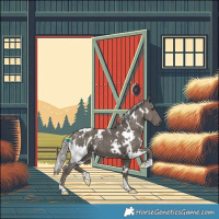 Horse Color:White Spotted Silver Black 