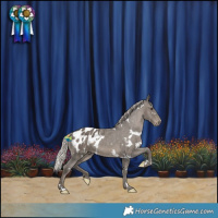 Horse Color:White Spotted Silver Black Appaloosa 