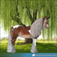 Horse Color:Silver Brown Tobiano 
