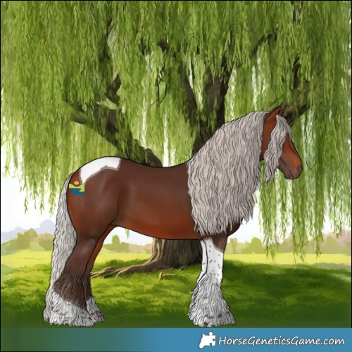 Horse Color:Silver Brown Tobiano
