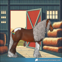 Horse Color:Silver Brown Tobiano