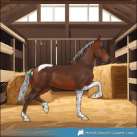 Horse Color:Silver Brown Tobiano