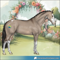 Horse Color:White Spotted Brown Dun Varnish 
