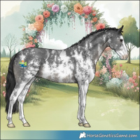Horse Color:Black Sabino 