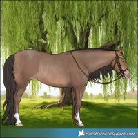 Horse Color:Sable Champagne Rabicano