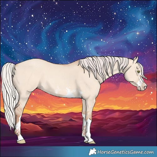 Horse Color:Silver Amber Champagne Dun