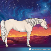 Horse Color:Silver Amber Champagne Dun