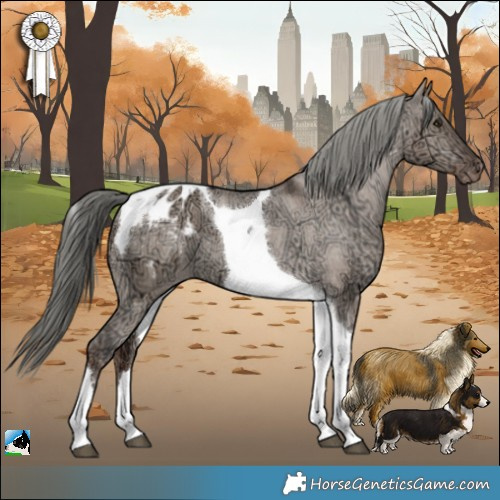 Horse Color:Liver Red Dun Ice Mushroom Tobiano Appaloosa