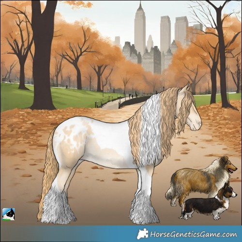 Horse Color:Smoky Black Pearl Tobiano Appaloosa Rabicano 